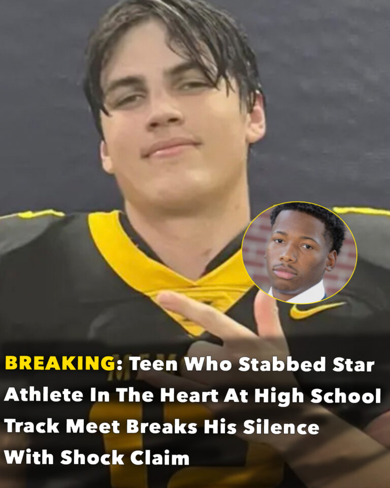 Teen who allegedly stabbed Austin Metcalf claims self defense
